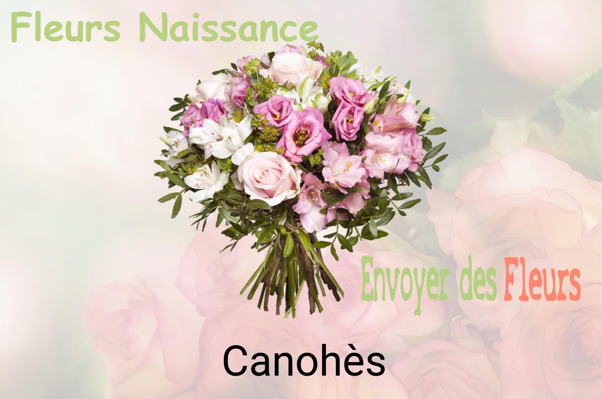 Bouquet de fleurs de naissance livré à Canohès